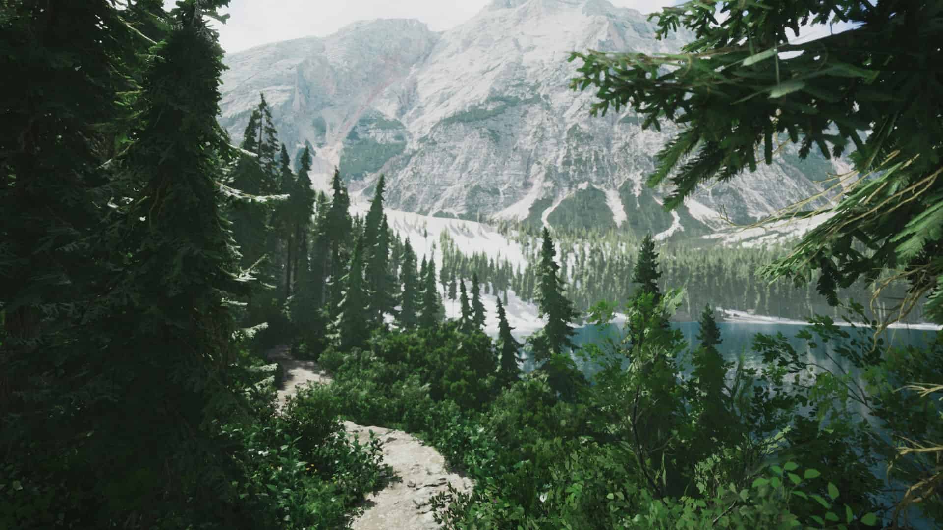 模拟美景摄影(Lushfoil Photography Sim)