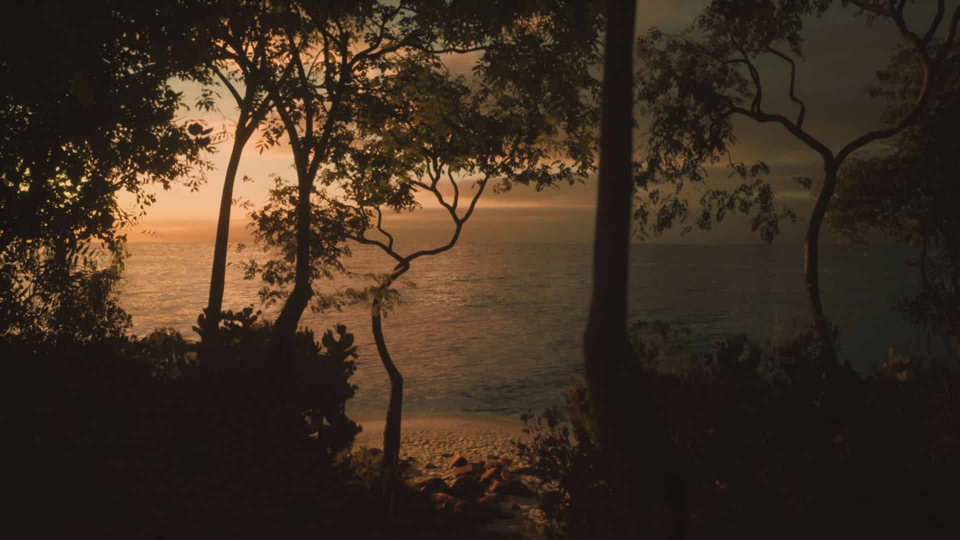 模拟美景摄影(Lushfoil Photography Sim)