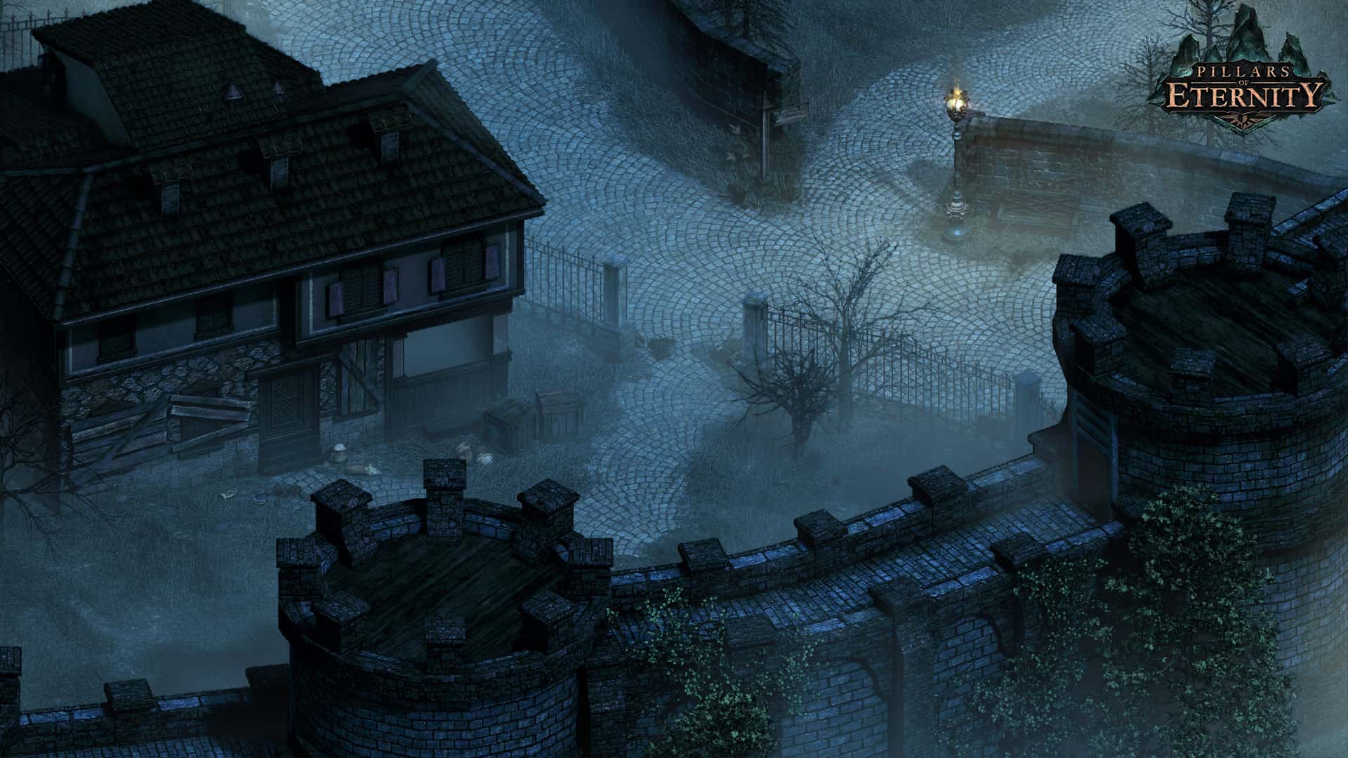 永恒之柱(Pillars of Eternity)