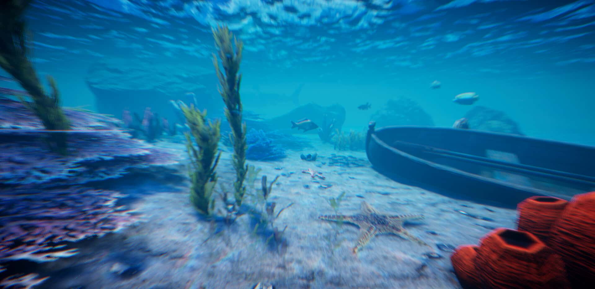 漂流计划(Project Castaway)